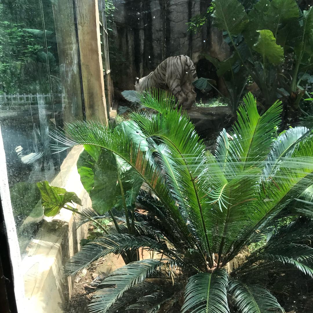 灵山县富华海鲜批发