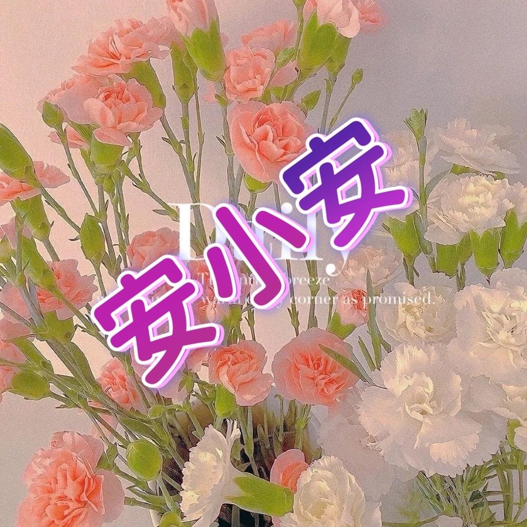 安小安
