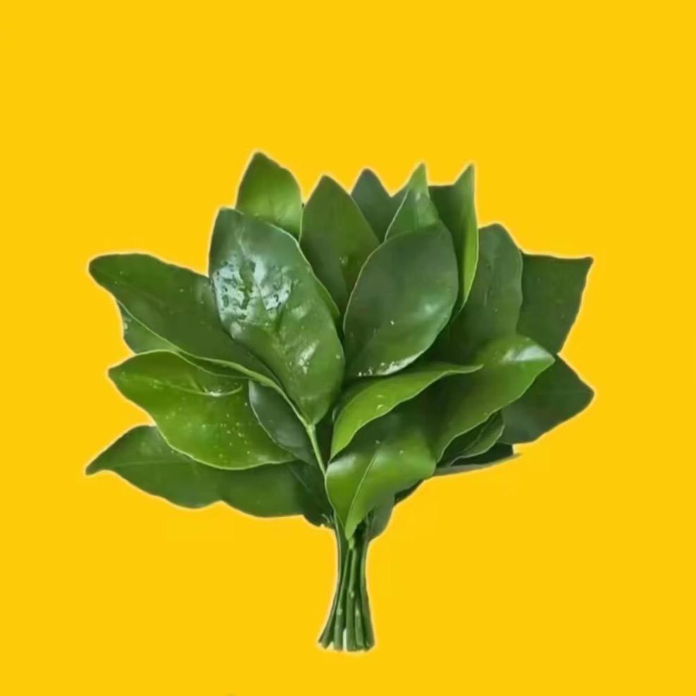 NN