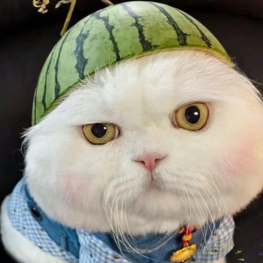 芳华