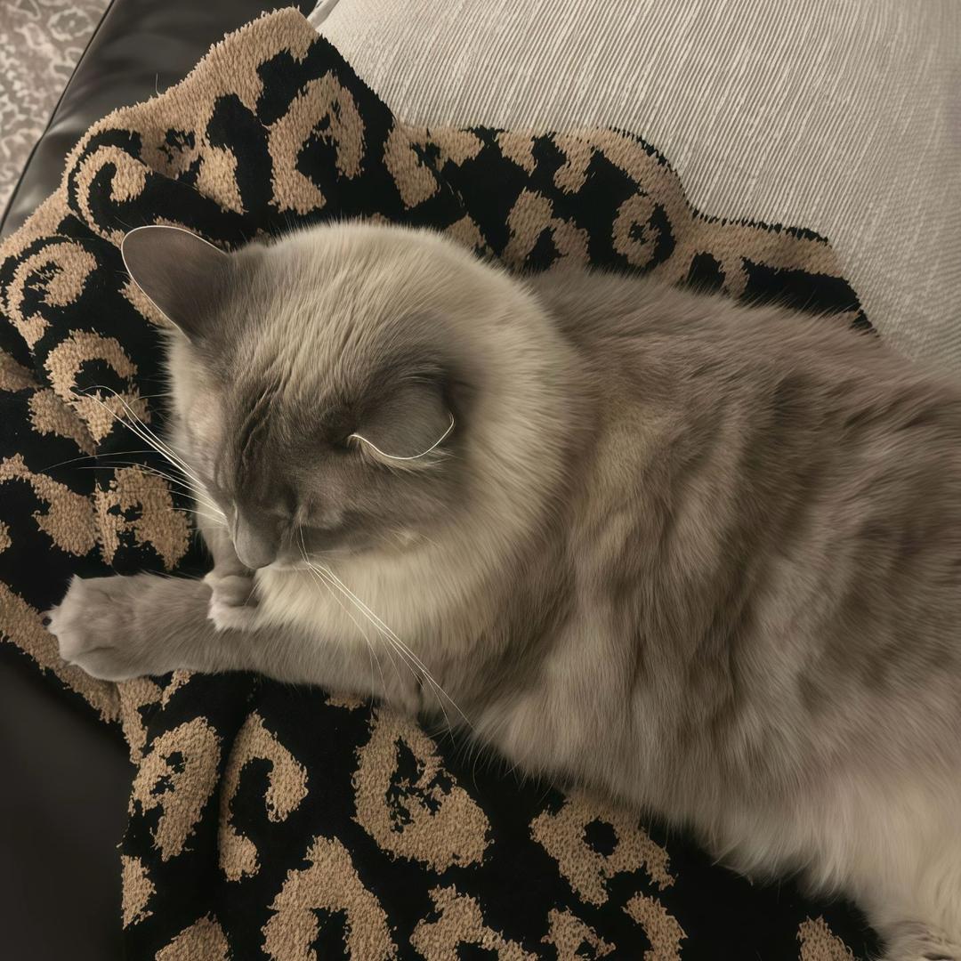 清徐文婷沾片子（三部）