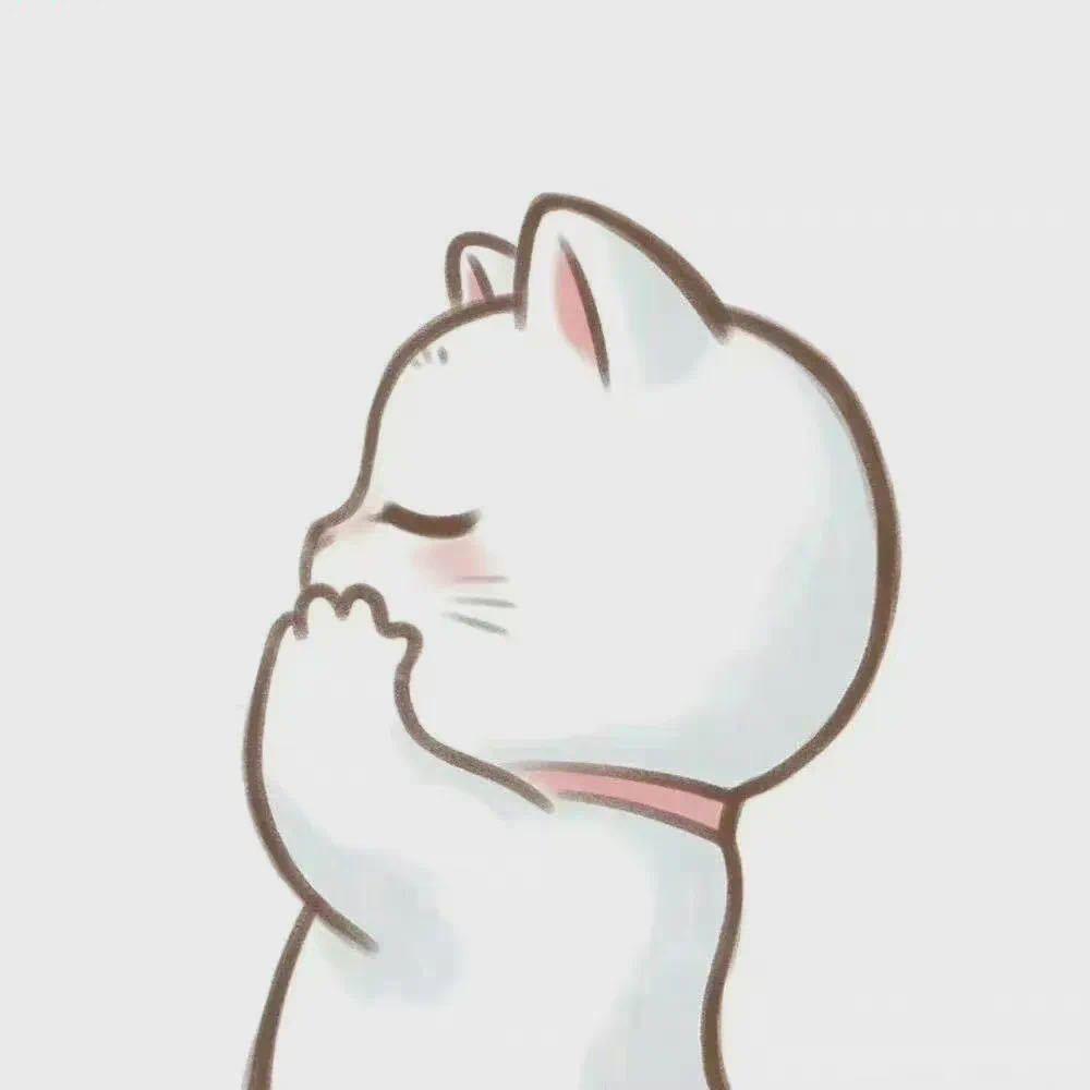 🌸王美丽
