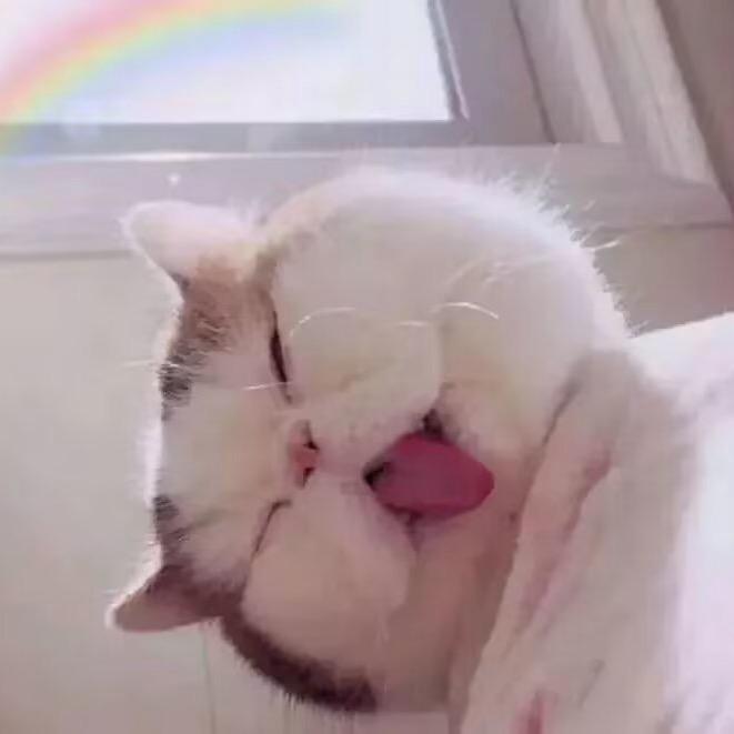 加菲