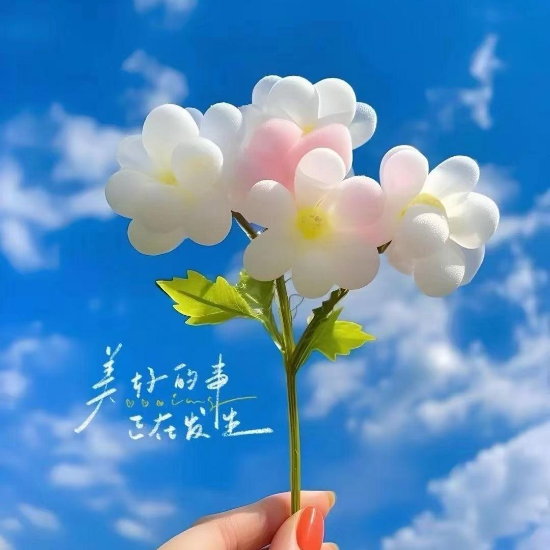甜甜好物