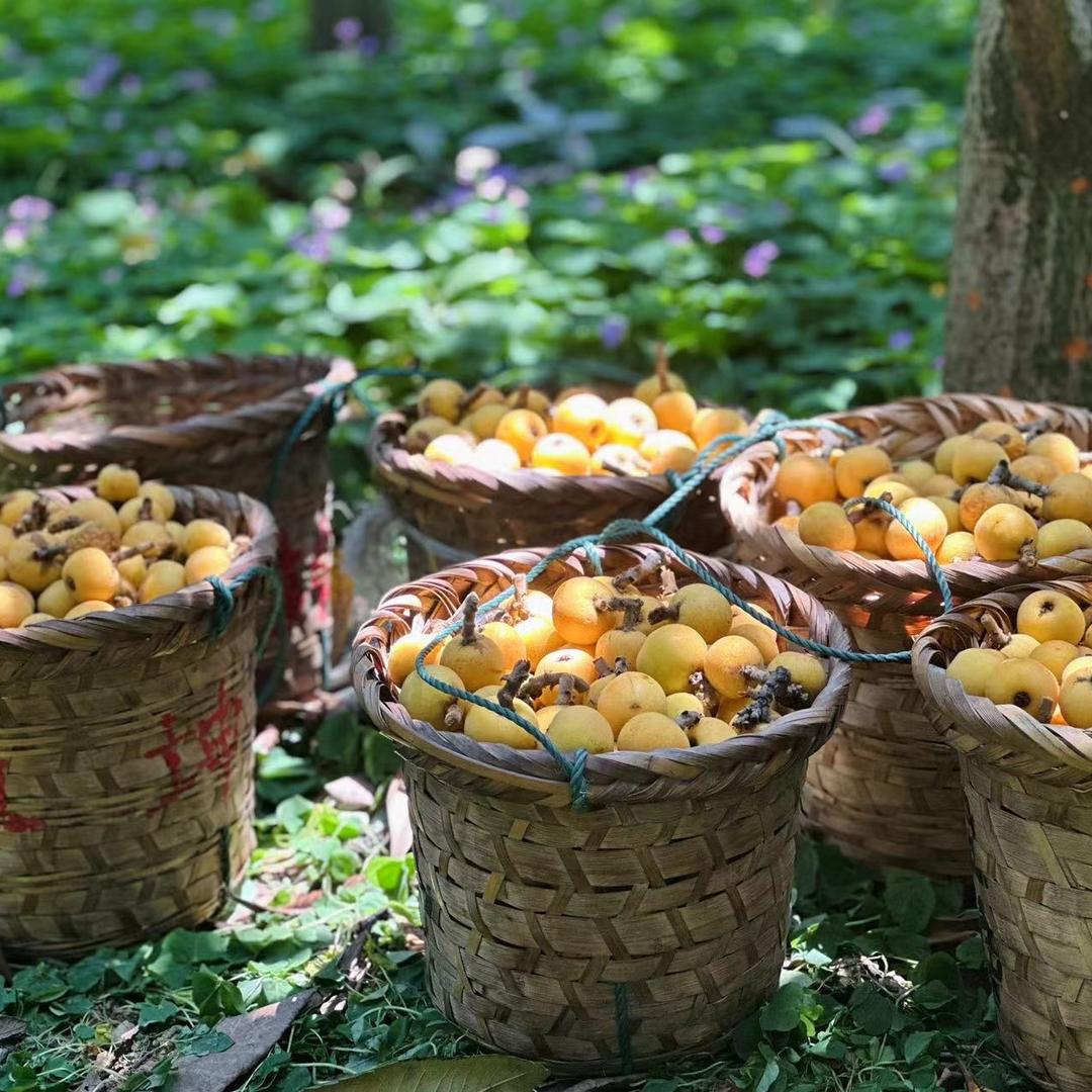 东山三茶六果农产品经营部个体店