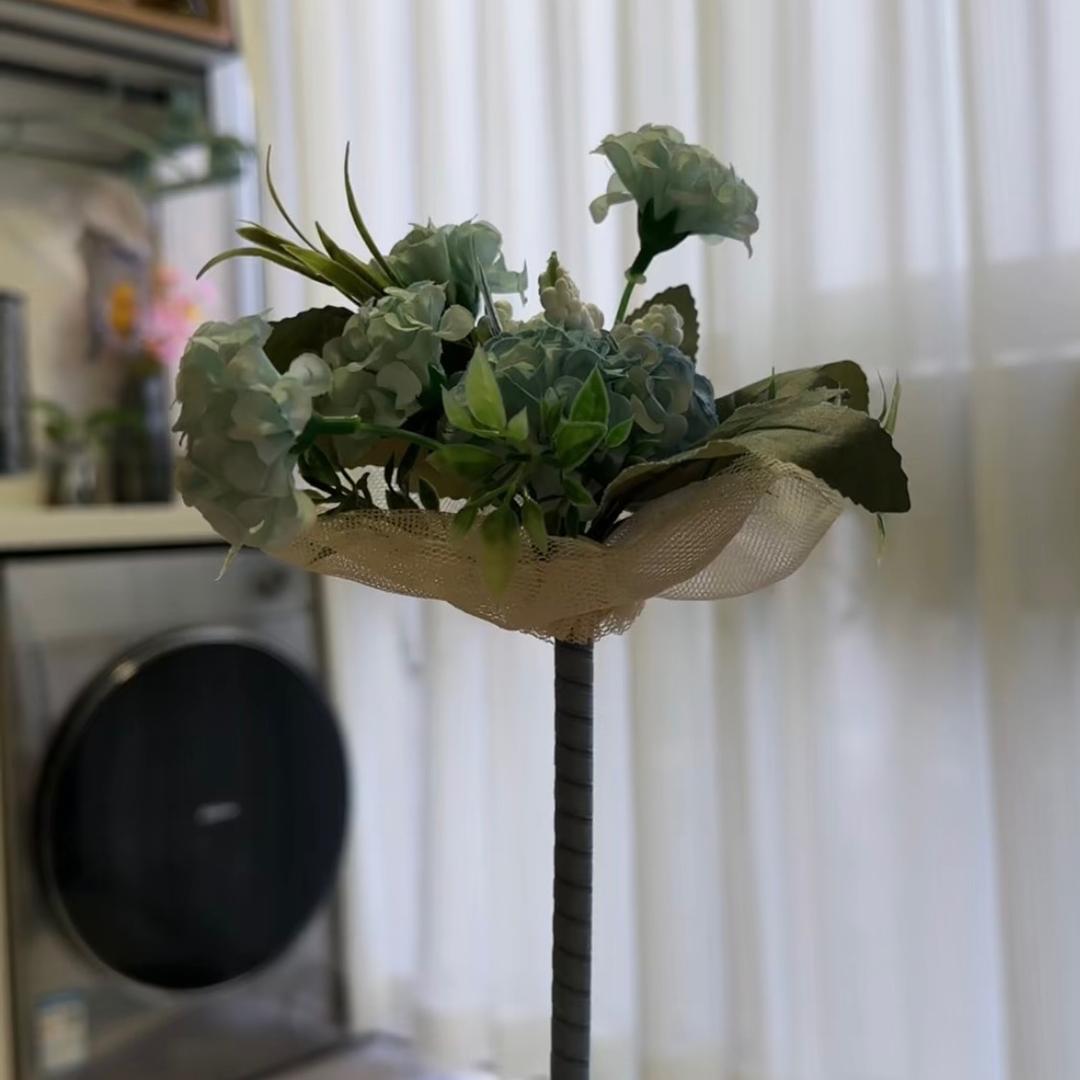 🌻燕子