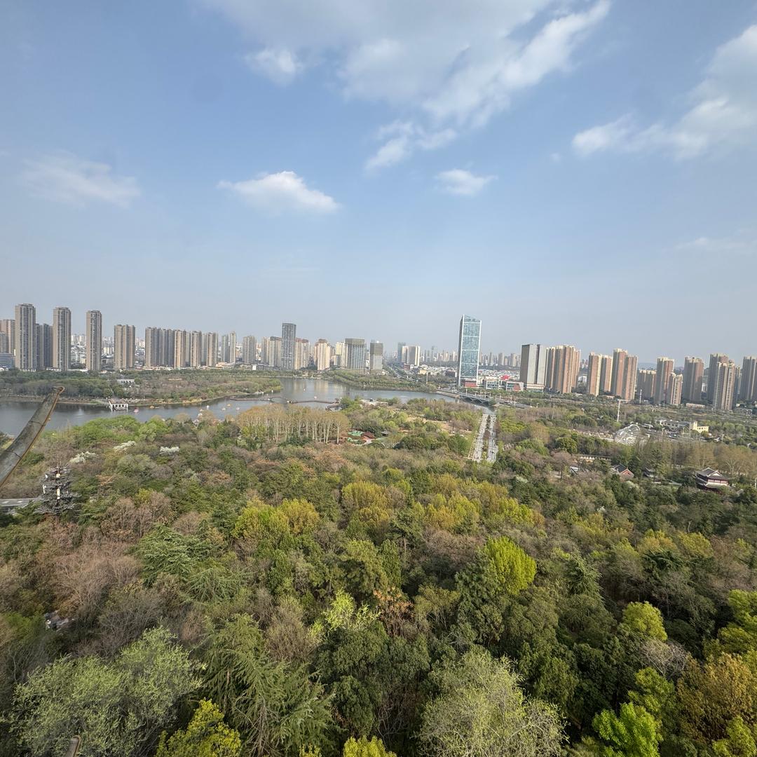 阳沐