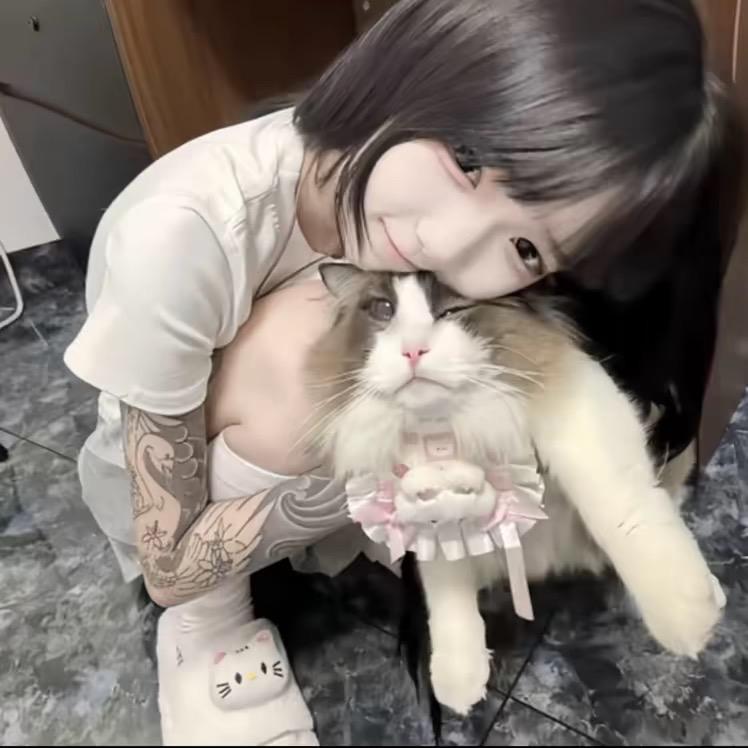萌届一杆枪