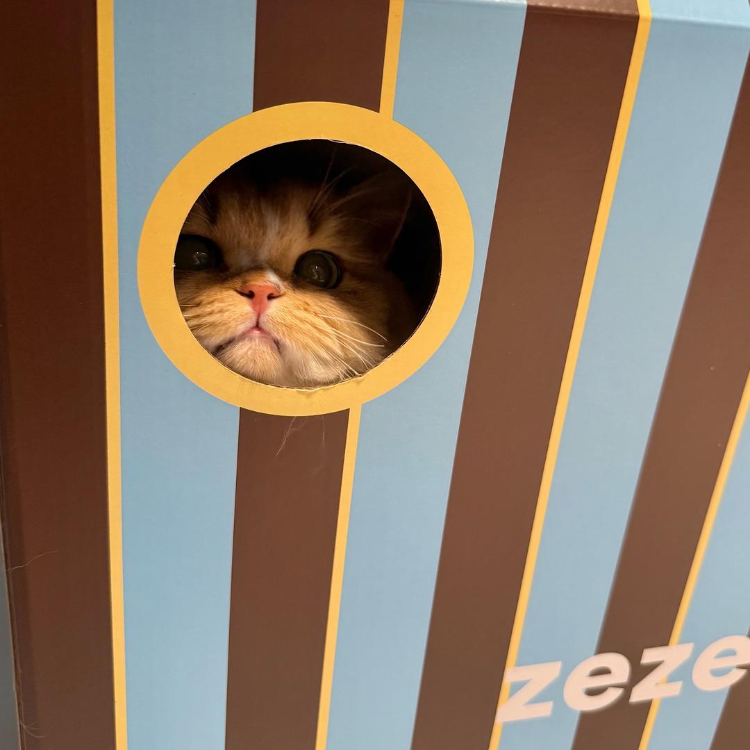 扑火