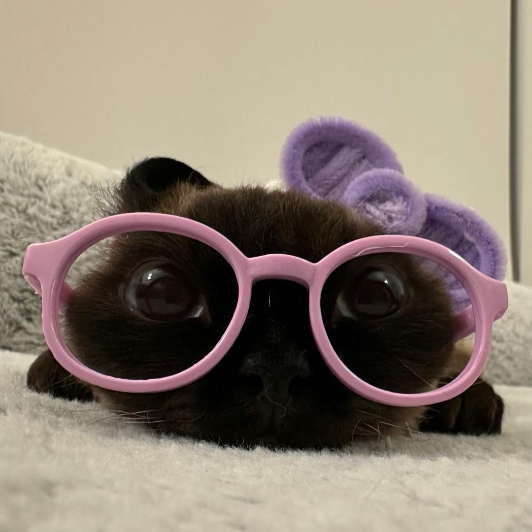 雪糕味的冰milk🍼