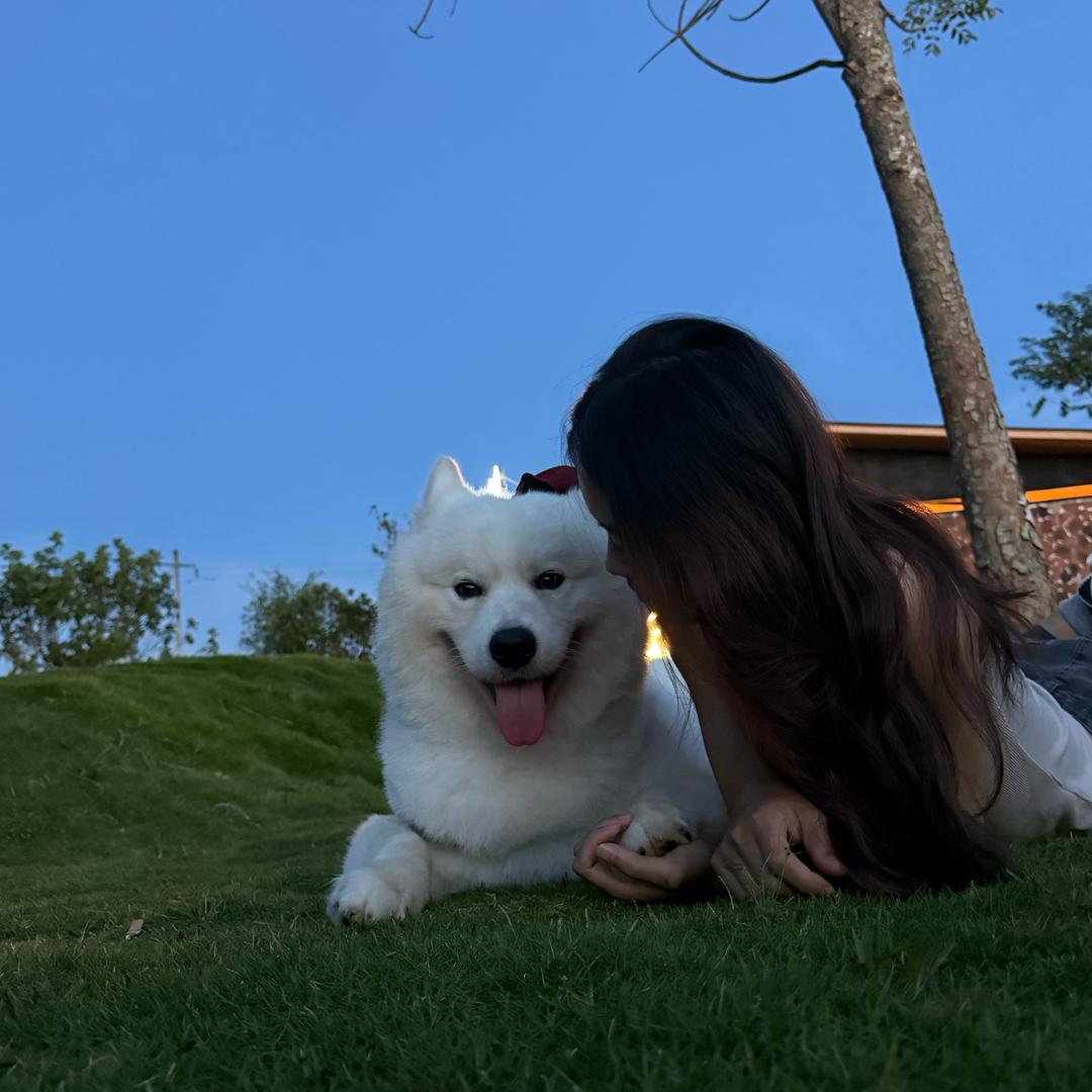 睡个好觉.
