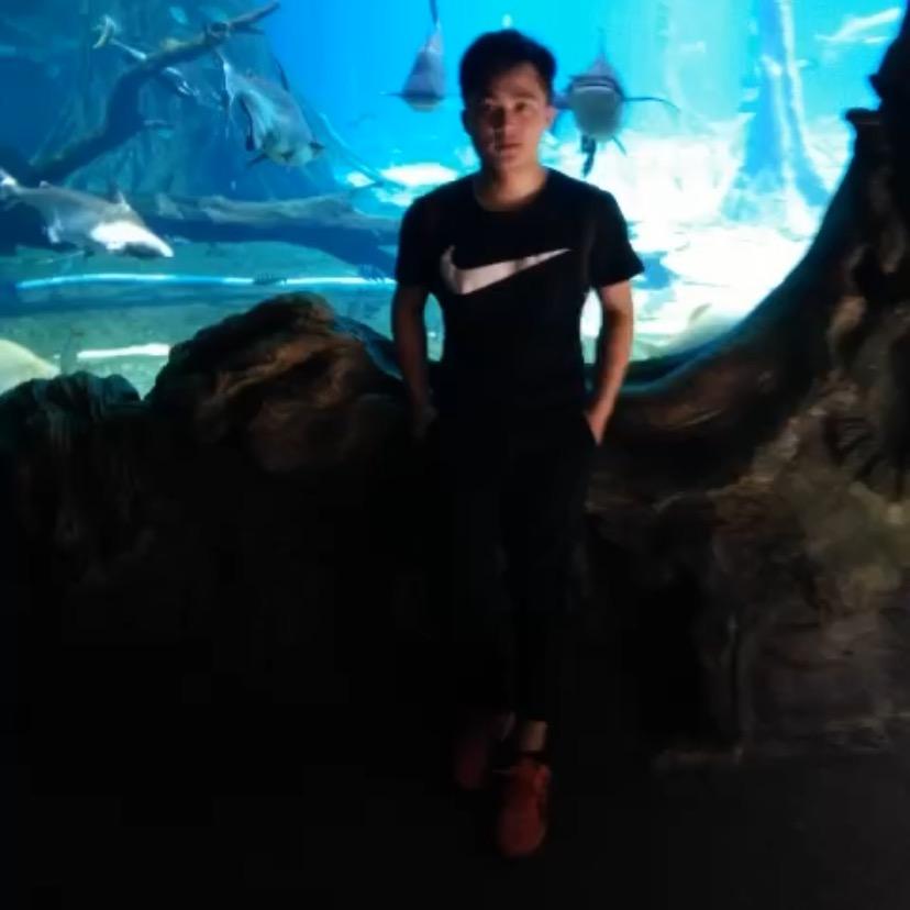 天上有一只大飞猪