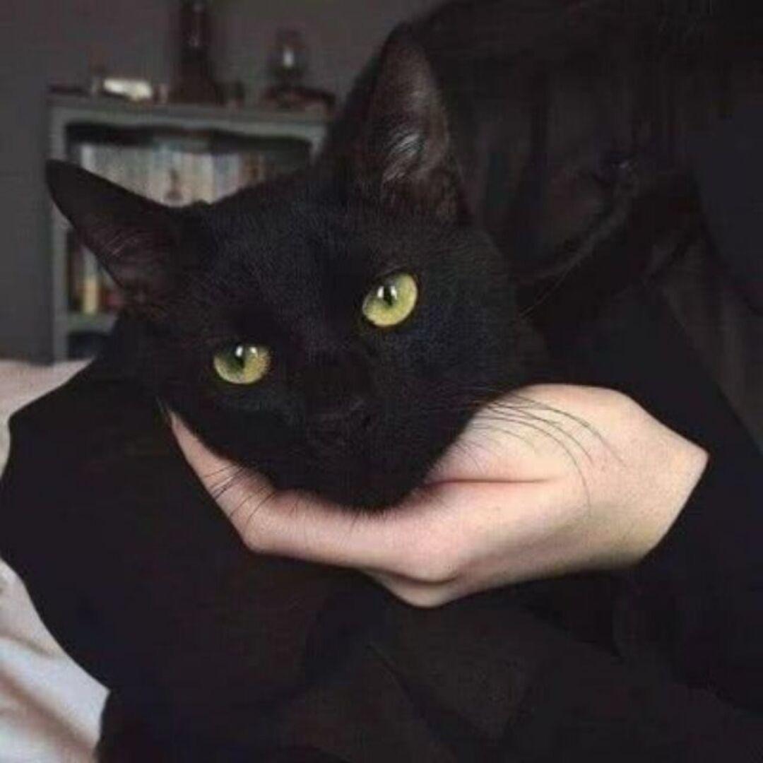 祀聿