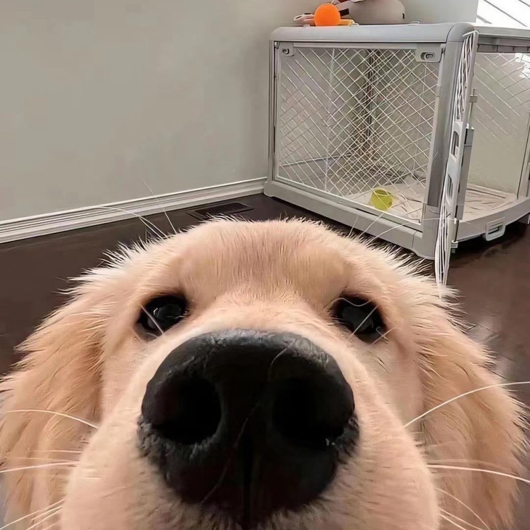 念念