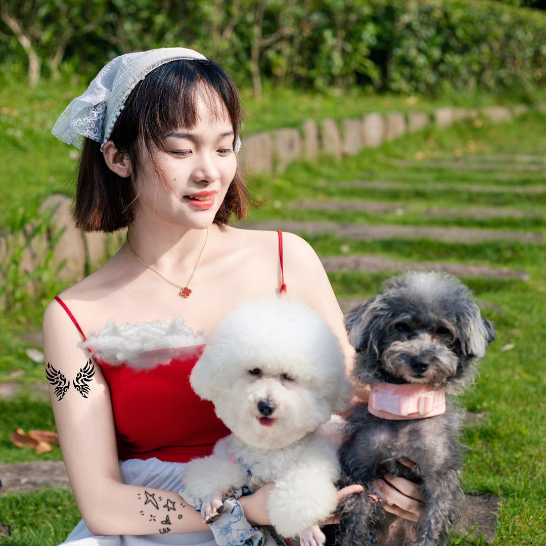 宠大帅(云阳店)专用号