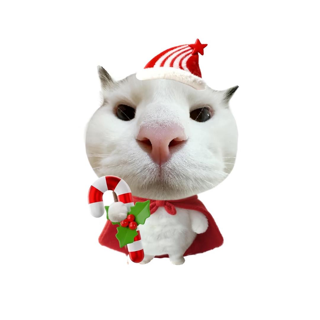 冬十二时.ㅤ  ㅤ