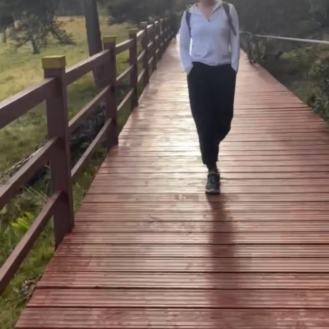 小灰宝和小元宝的日常