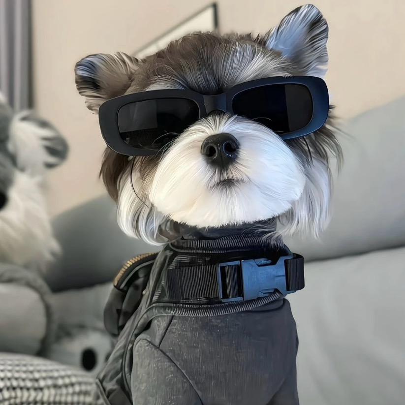 🦋           鲸落