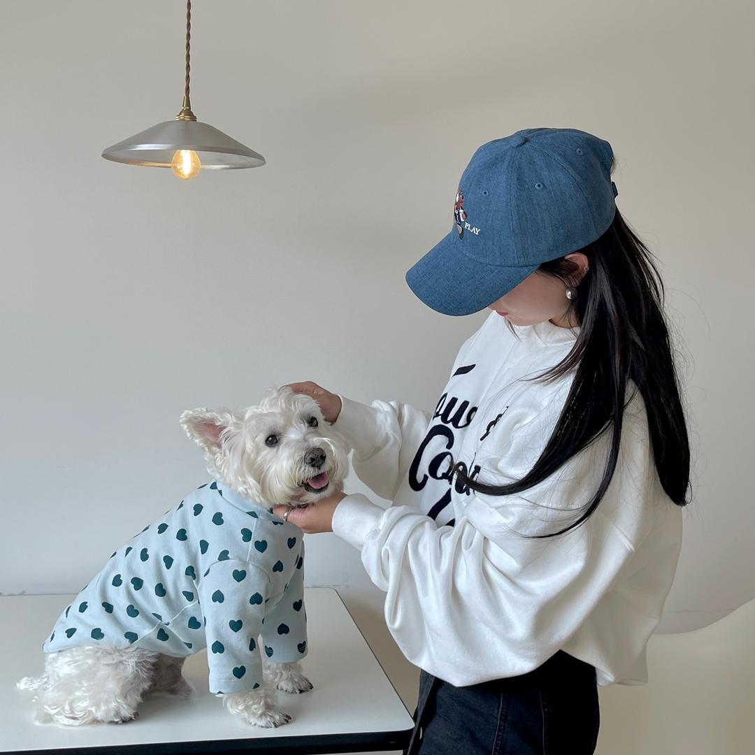 卡卡宝贝🐶