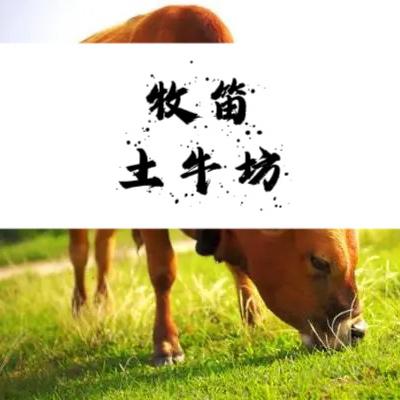 云南牧笛土牛坊（助农）