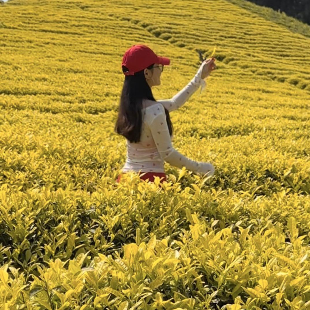安吉白露芳茶场