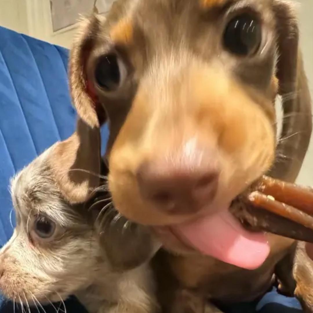 王开鑫