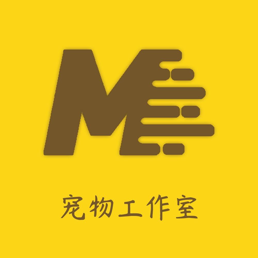 MY缅因猫