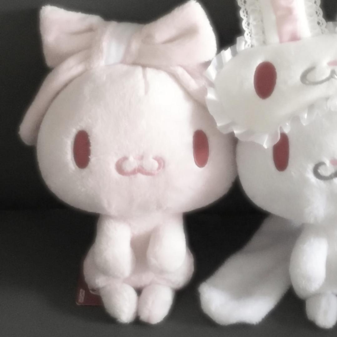 音乐猫猫