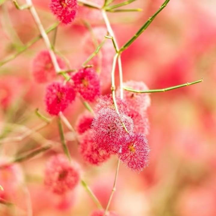 隋溢然