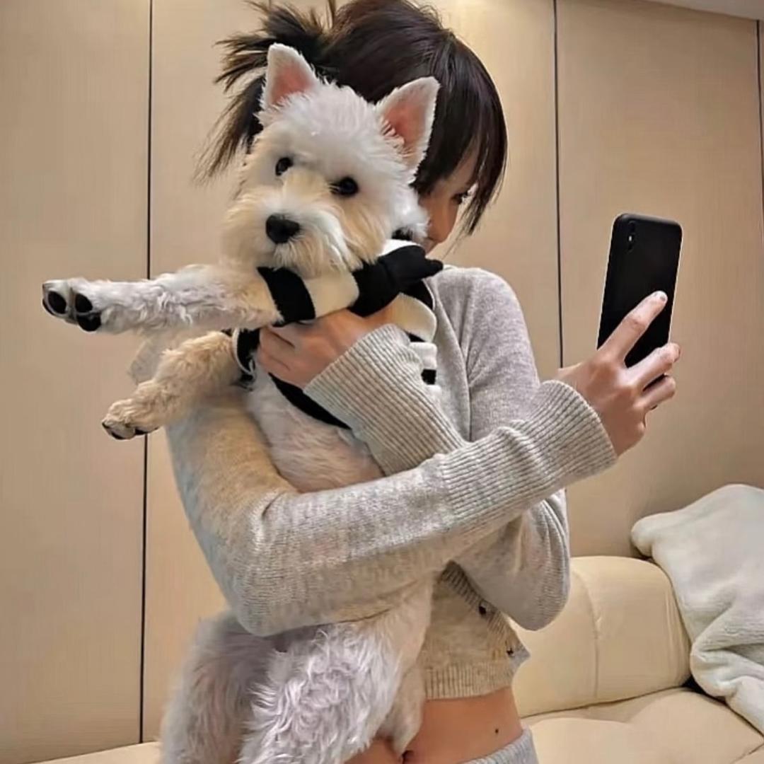 一只emo朱.
