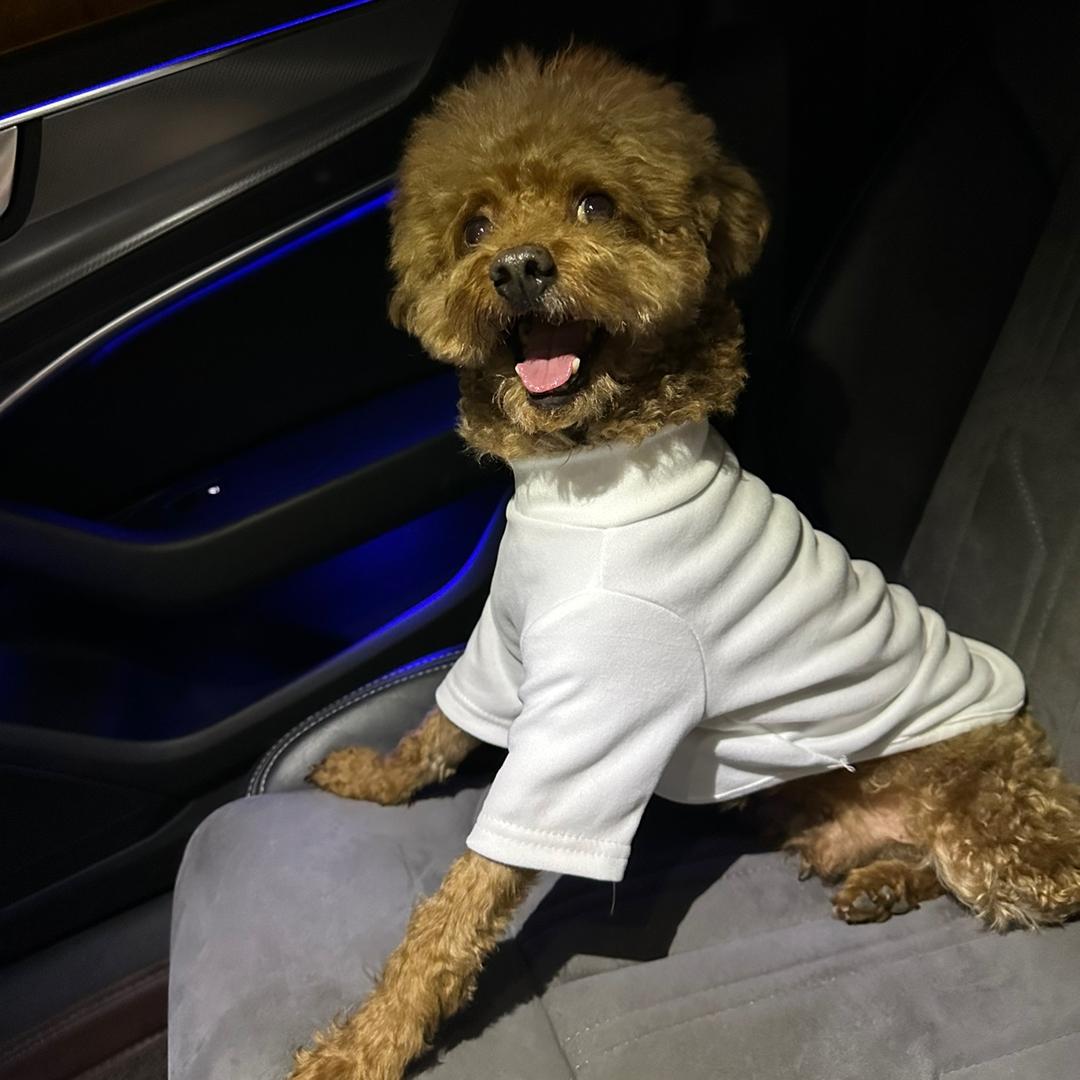 可乐是豁牙子