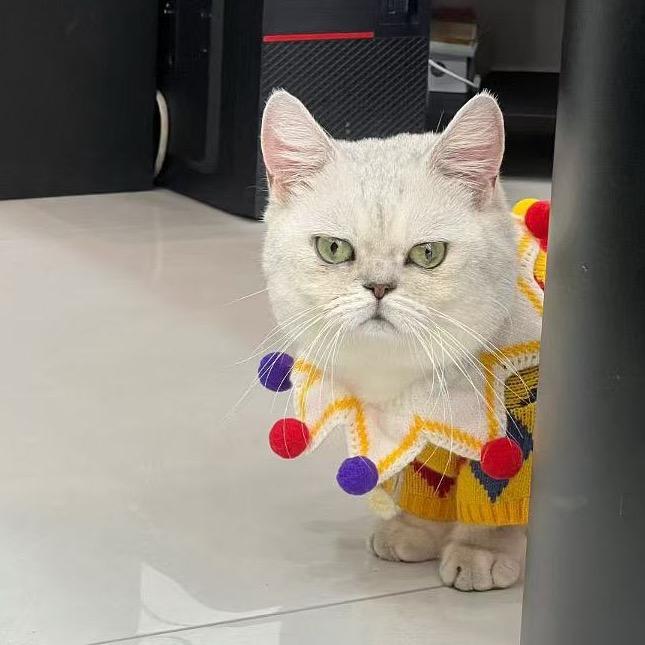 那天我伤透了心