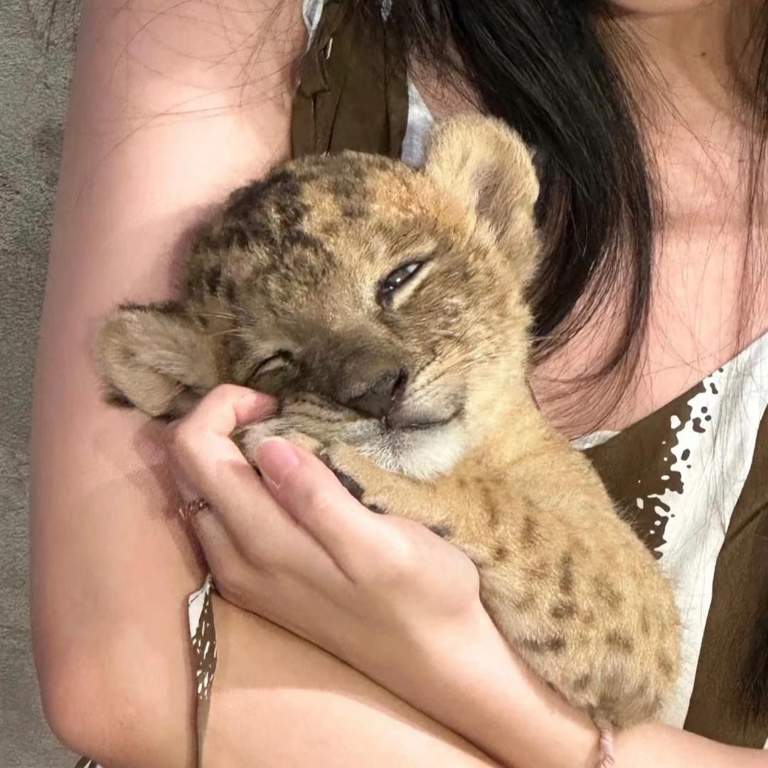 月亮不在翻白眼