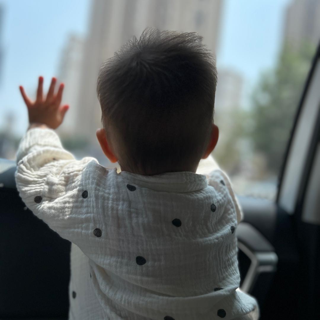 🌵   故里waБi -sabe