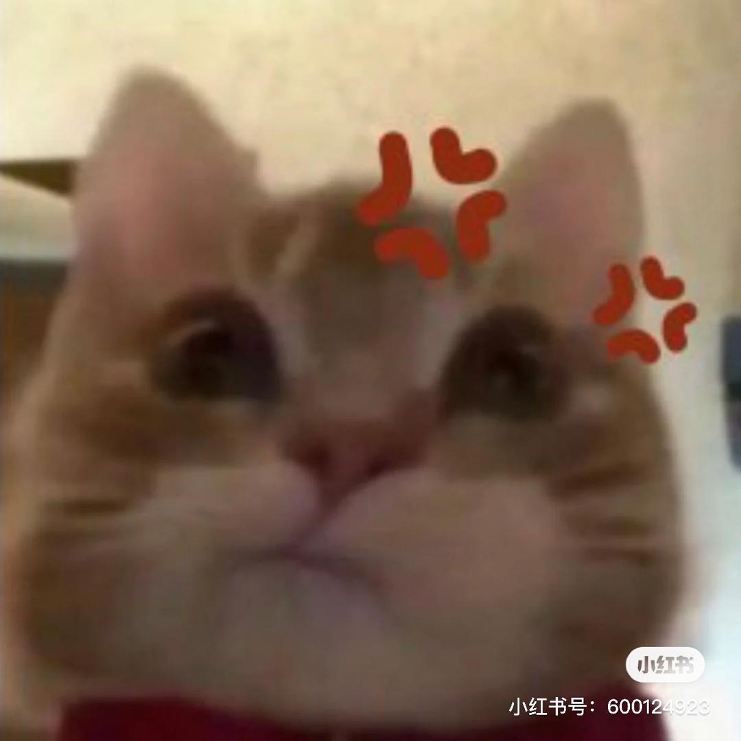 得得