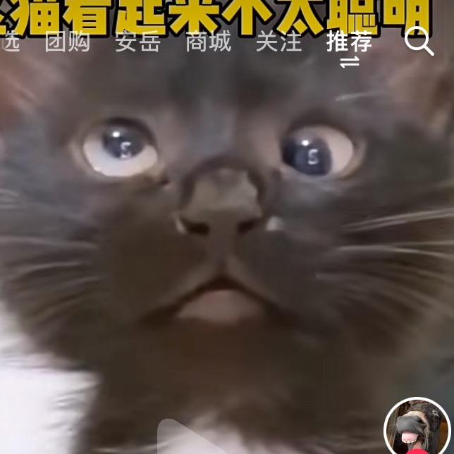 浪里白条