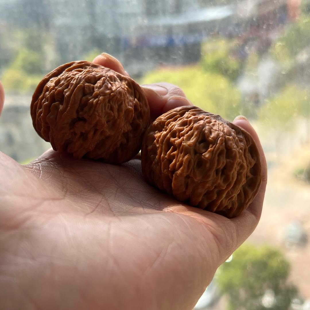 玩核桃的皮蛋