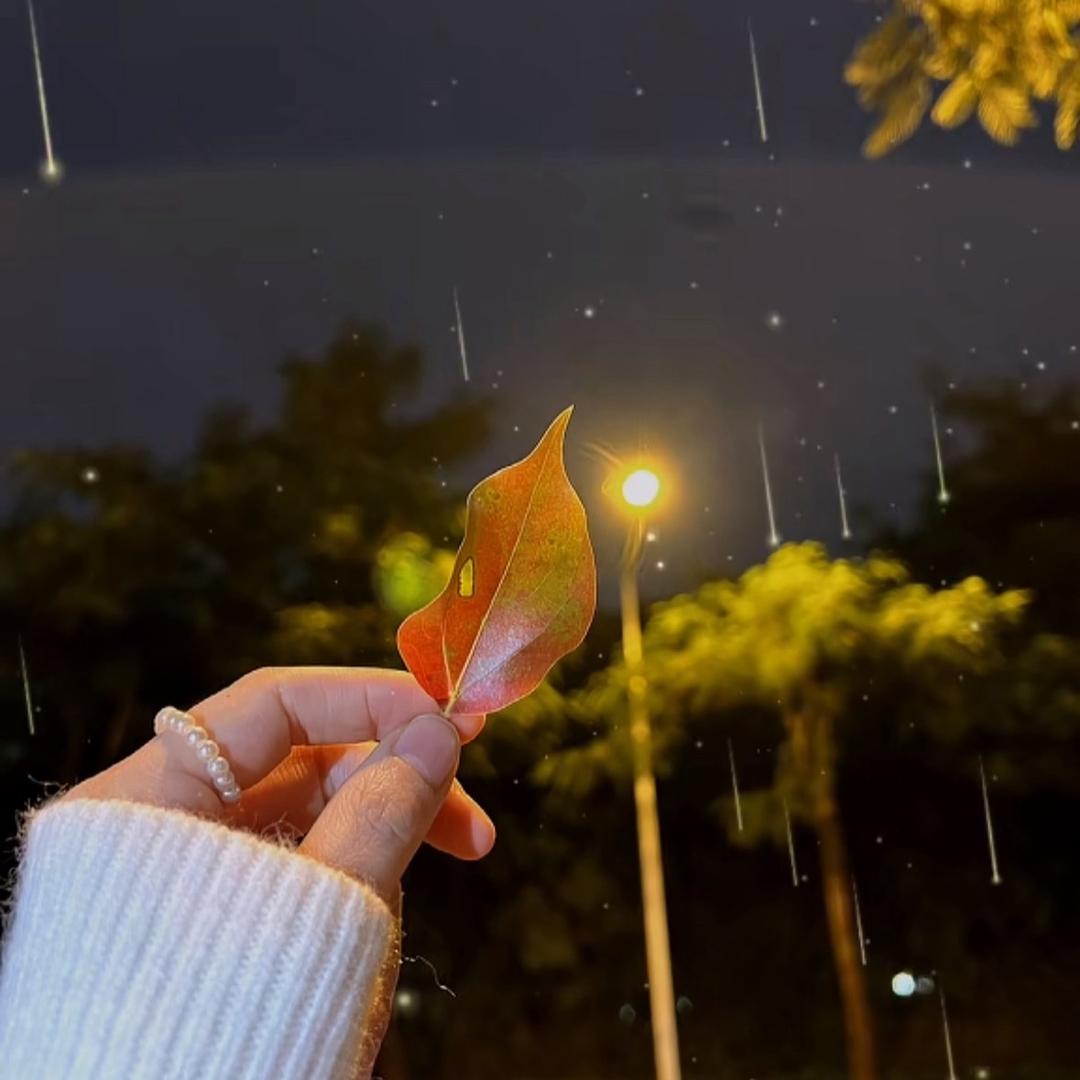 ✨柒情🐬素笺✨