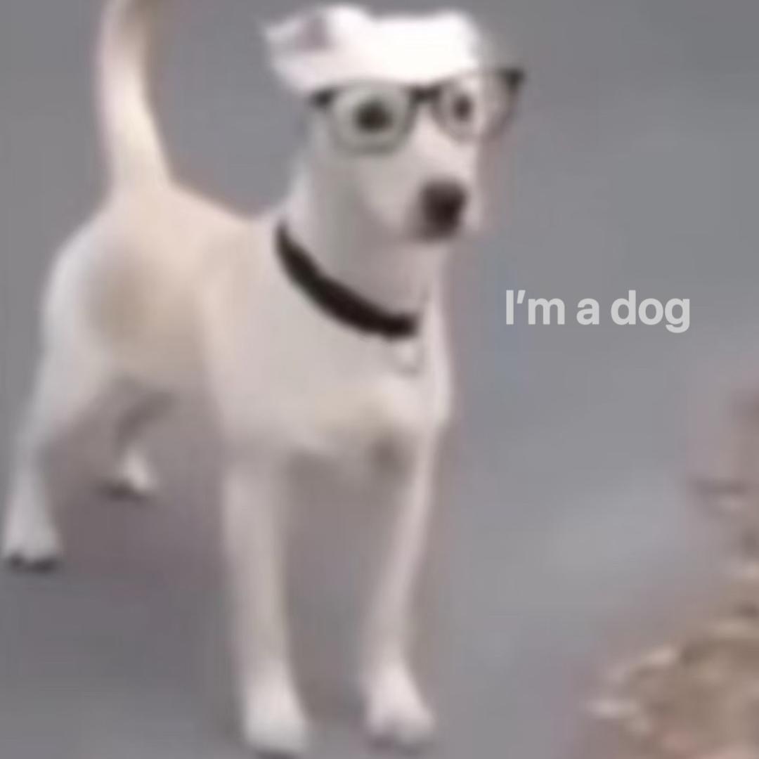PPuppy