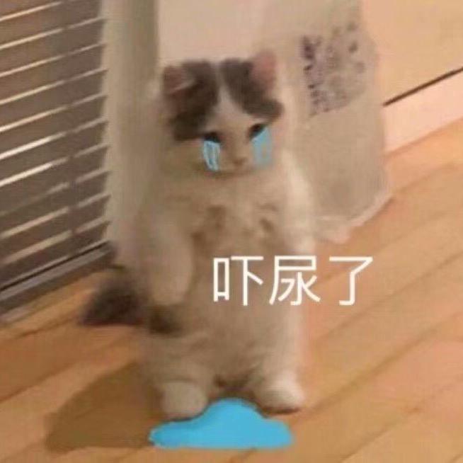 鲸说.