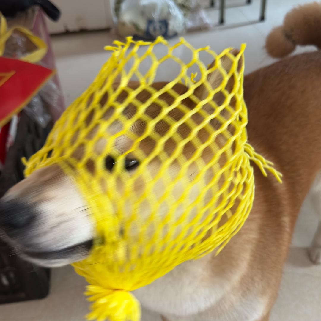 清风…