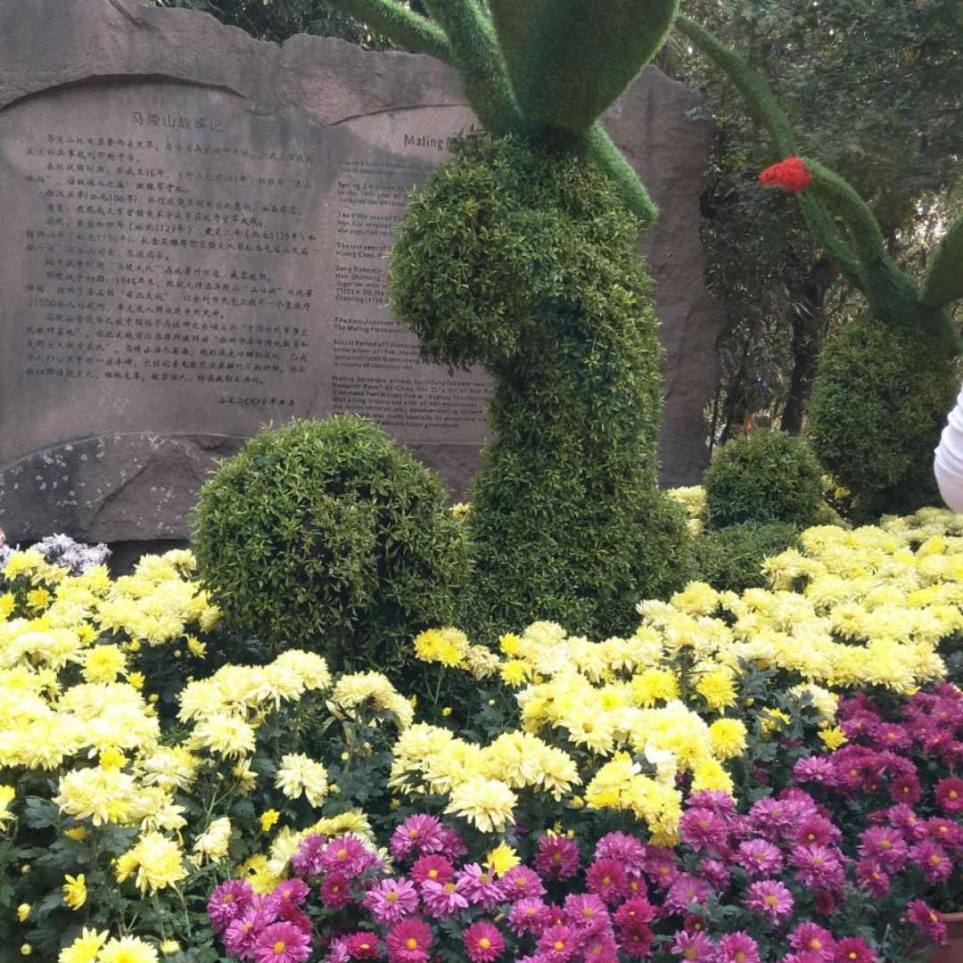 缘分