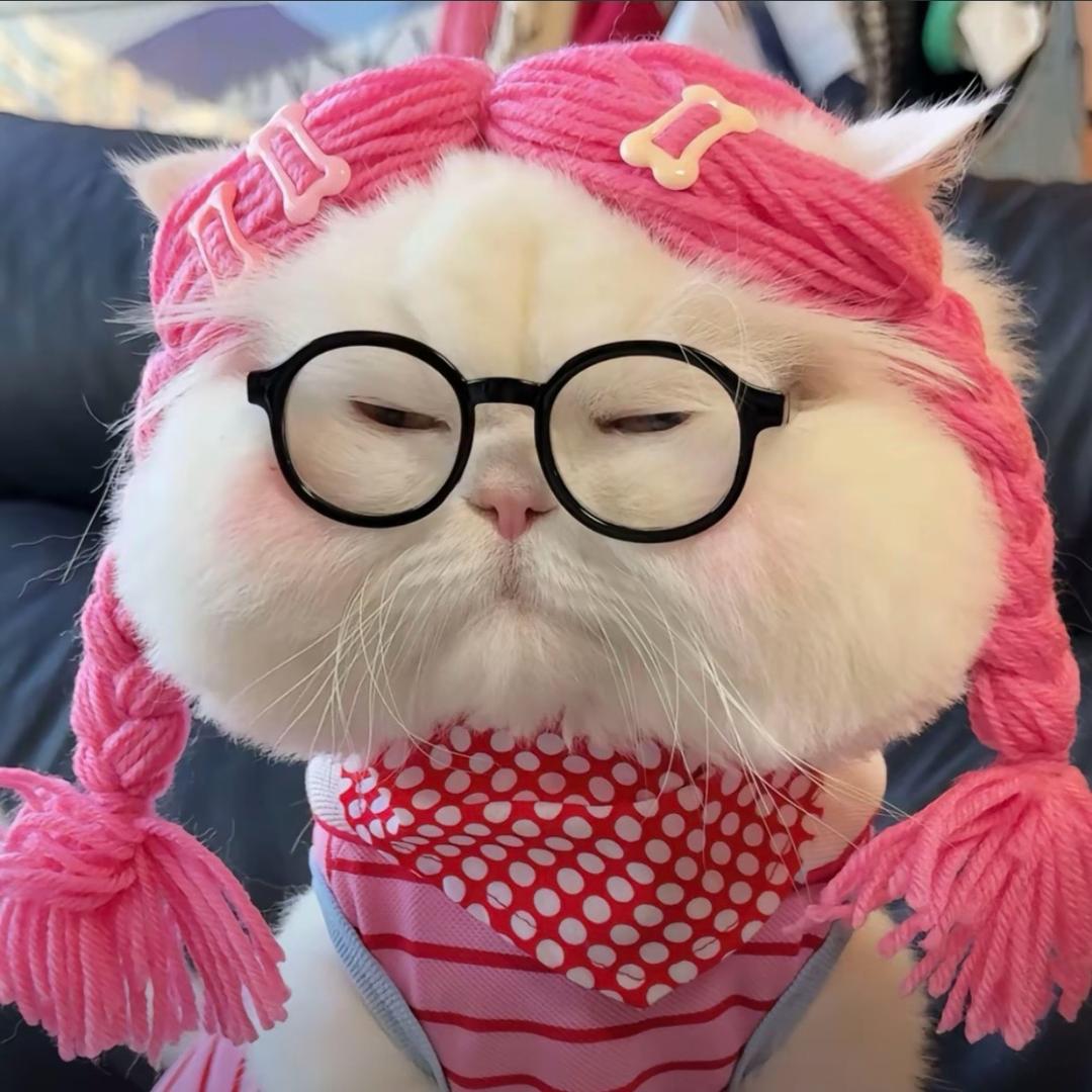 一只小🐰叽🎊