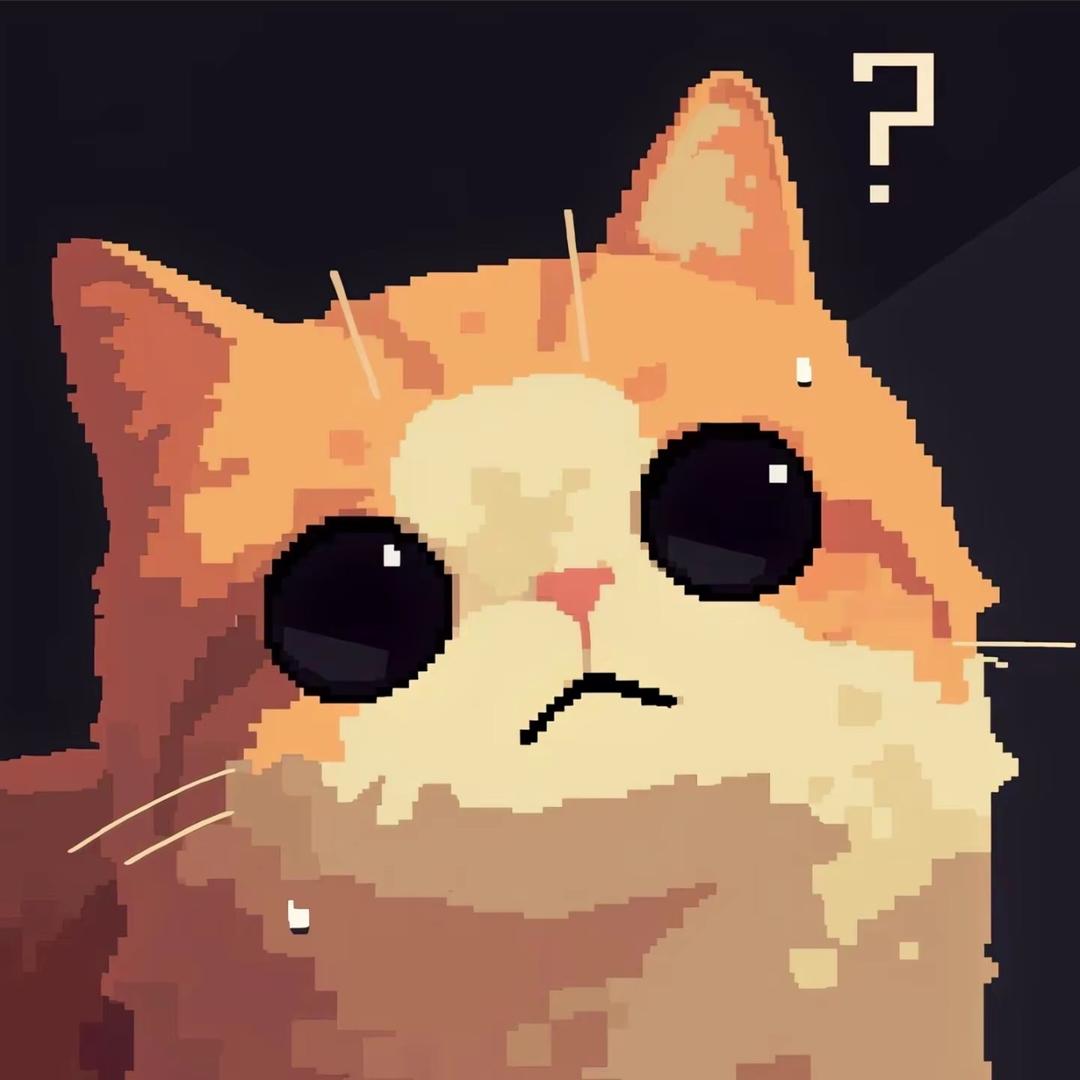 百特猫