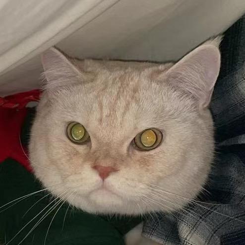 我有太平洋肩宽