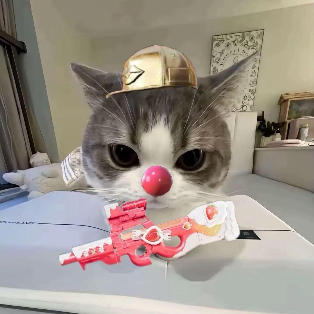 悲伤𝙆𝙞𝙩𝙩𝙮猫