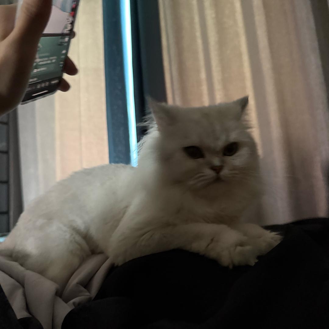 zyxxxxx