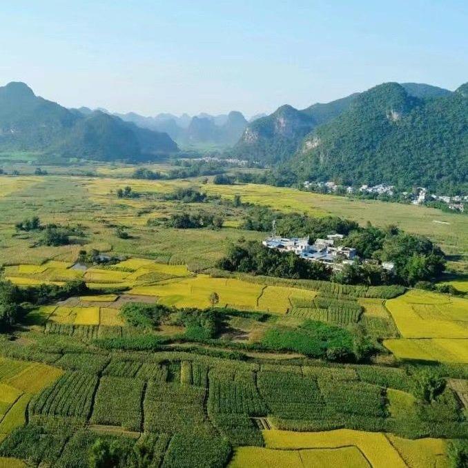 万福香湖南灯塔米业有限公司大米专卖店