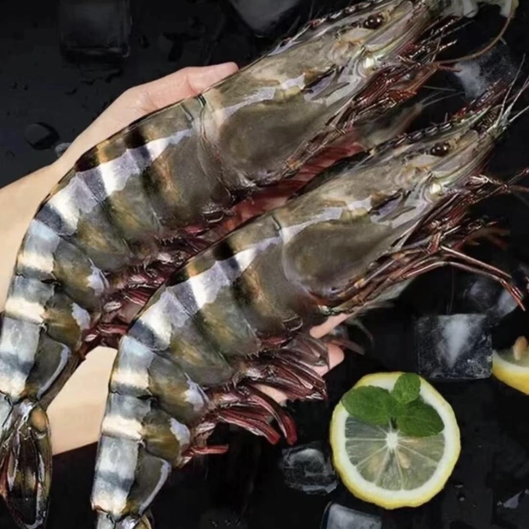 阳阳家海鲜