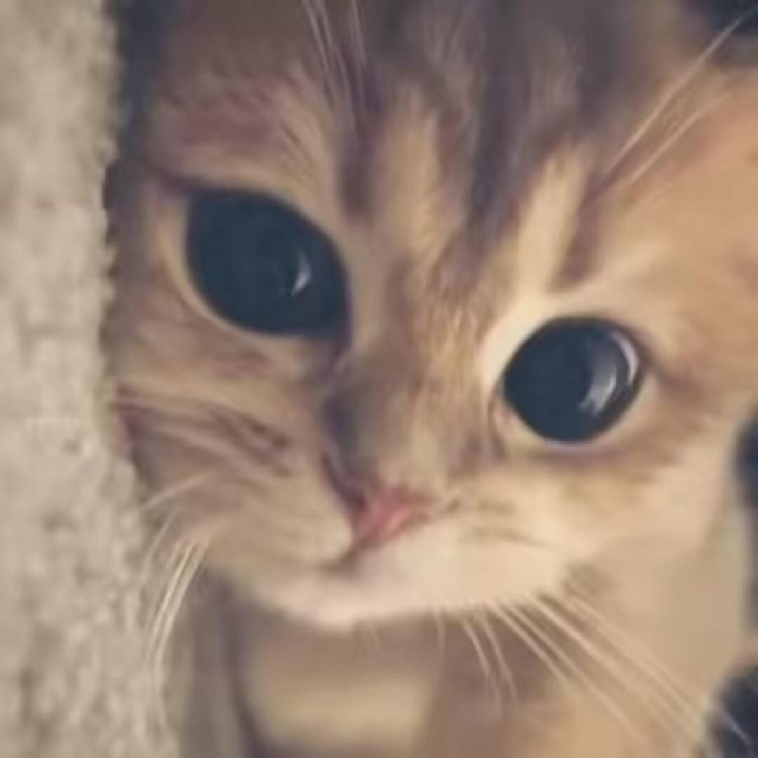 🧁